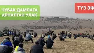 ТҮЗ ЭФИР! ЧУБАК УСТАЗГА АРНАЛГАН УЛАК