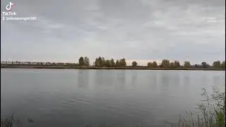 Карповый заброс!