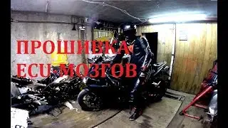 Прошивка ECU-мозги + QuickShifter на Yamaha R1 09-14