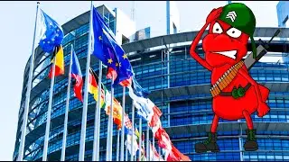 Германия: муравьи-захватчики осаждают город рядом со Швейцарией