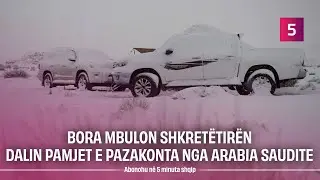 Bie borë, publikohen pamjet e pazakonta nga shkretëtira e Arabisë Saudite