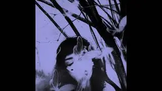 [free] (5+) heavy shoegaze, alternative rock loop kit 2023 - 