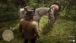 Horses are jerks in Red Dead Redemption 2*