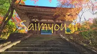 【湖東三山】西明寺の秋 Saimyou-ji Temple in autumn