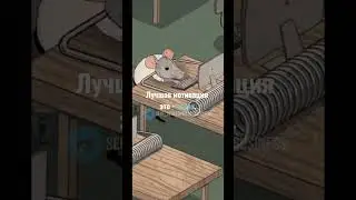 Страх, бывает разным, пользуйтесь тем который полезен. 