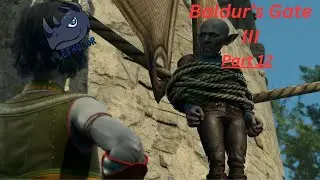 Baldur's Gate 3 - Let's Not Fight Spiders | Part 12