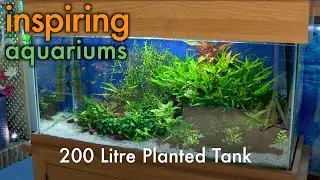 Inspiring Aquariums - 200 Litre Planted Tank