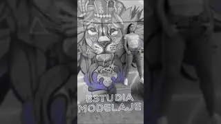requisitos para estudiar modelaje