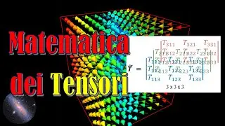 Sai cos’é un TENSORE? - Riassuntone per chi è di fretta