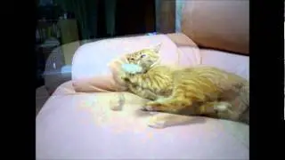ひとみの一人遊び