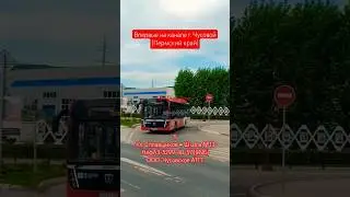 Чусовой | Автобусный маршрут 5 | Остановка Пл. ЧМЗ | 