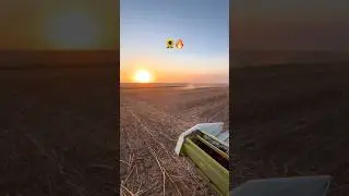 The best moments of the harvest🌻🌽🥰 #music #село #automobile #phonk #bass #жнива #жатва