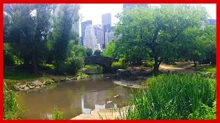 VLOG #7: NYC 2013 - Central Park
