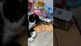 Тима не дает снимать новое видео 