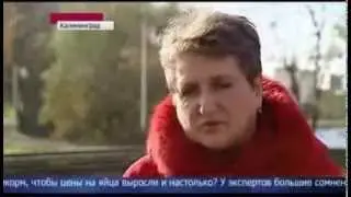 В чем причина резкого подорожания яиц в России