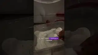 Арт на пятновыводитель: 162181001