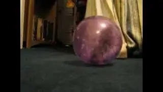 Matt the rabbit meets Hedgehog the Hamster