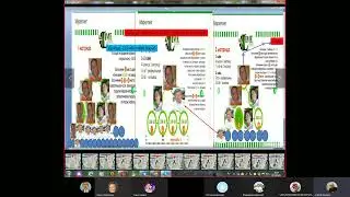 Lime Academy стратегия входа #limecompany #биткойн