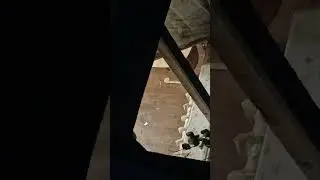 сосед наркоман