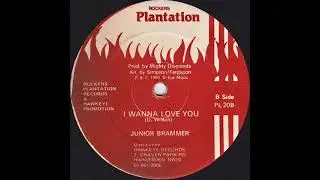 Junior Brammer – I Wanna Love You