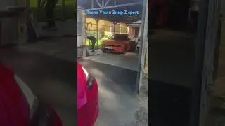 Tesla model Y или Zeekr Z sport?