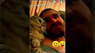 Позитивчик про животных!Из "СОЛНЫШЕК"😁👍