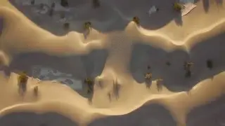 The Golden Dunes - Aerial
