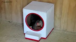 Como hacer nido para una gallina clueca fácil