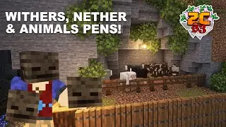 Our new world SHATTERED - Nether, Friends and Animals | ZetaCraft Season 3 - 02