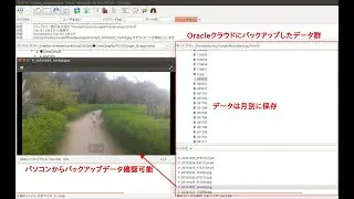 (Python)How to use Google Photo API Python? (Google Photo Library APIをPythonで使う方法)