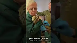 Zamira