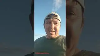 Вольер для собак из руин. / Стены из поддонов.