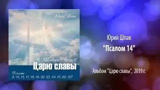 Юрий Шпак, 