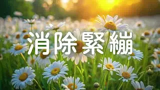 Unprecedented Relaxing Experience | Stop Overthinking, Healing of Stress, Anxiety | Morning Music