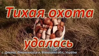 Тихая охота удалась.
