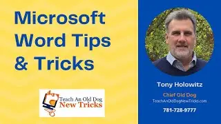 Microsoft Word: Cut, Copy and Paste
