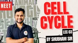 "🔬 Understanding the Cell Cycle: Modification of Mitosis 🧬"