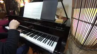 J'Ai Voyage Parmi Les Etoiles composed by Alain Morisod