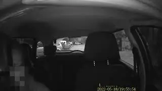 Нападение зомби на таксиста!!!