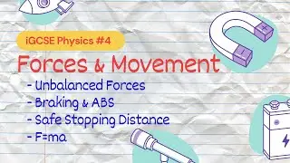 Forces & Movement | iGCSE Physics #4