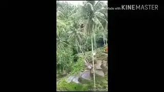 Кинг-конг отдыхает🤣🤣🤣🤣