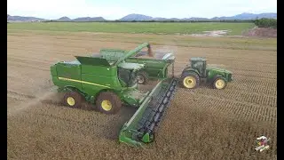 Lone Wolf Oklahoma Wheat Harvest 2021