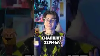 Разработчики СЛЕДЯТ за НАМИ! (Снапшот 22w46a)