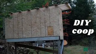 DIY Backyard Chicken Coop Build