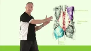 Thoracolumbar Fascia