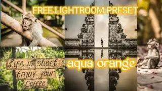 Aqua orange free preset dng file - aq editing