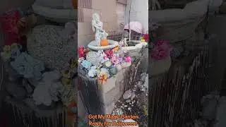 Got My Magic Garden Ready For Halloween!