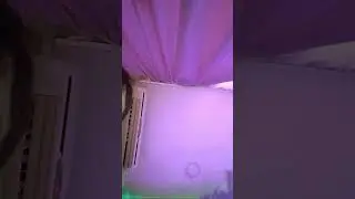 18 июня 2024 г.