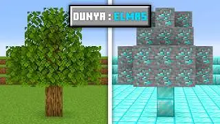 Minecraft but WITH SPECIAL WORLDS!
