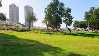 Ashdod City, Walk to the Beach, Israel